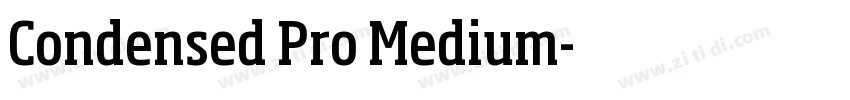 Condensed Pro Medium字体转换